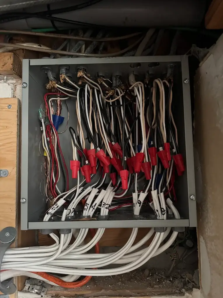 Junction box with labelled conductors and wire connectors